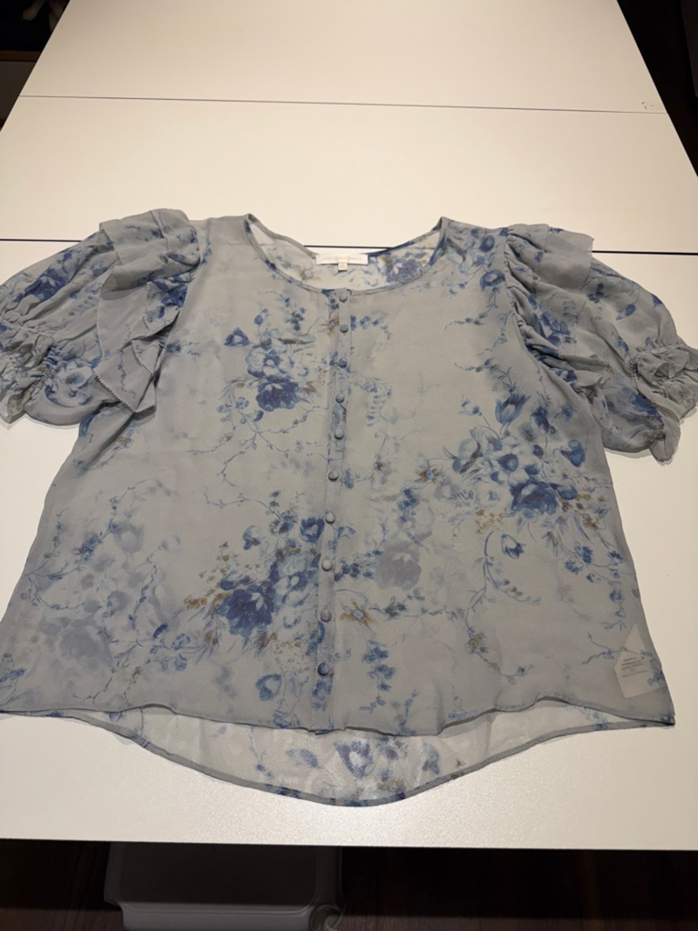 LoveShackFancy Light Blue Sheer Floral Blouse L